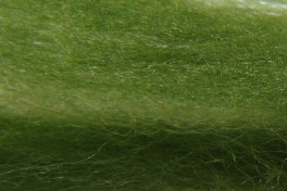 Australijos Merino sluoksna 20,5 µm, tamsios samanų spalvos, kodas AMS104, 100 g 