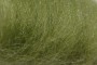 Australijos Merino sluoksna 20,5 µm, žalio obuolio spalvos, kodas AMS106, 100 g 
