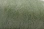 Australijos Merino sluoksna 20,5 µm, blyškiai žalsvos spalvos, kodas AMS109, 100 g 