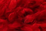 Wensleydale garbanėlės, raudonos, kodas DWG103, 20 g