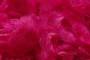 Wensleydale garbanėlės, pink, kodas DWG104, 20 g